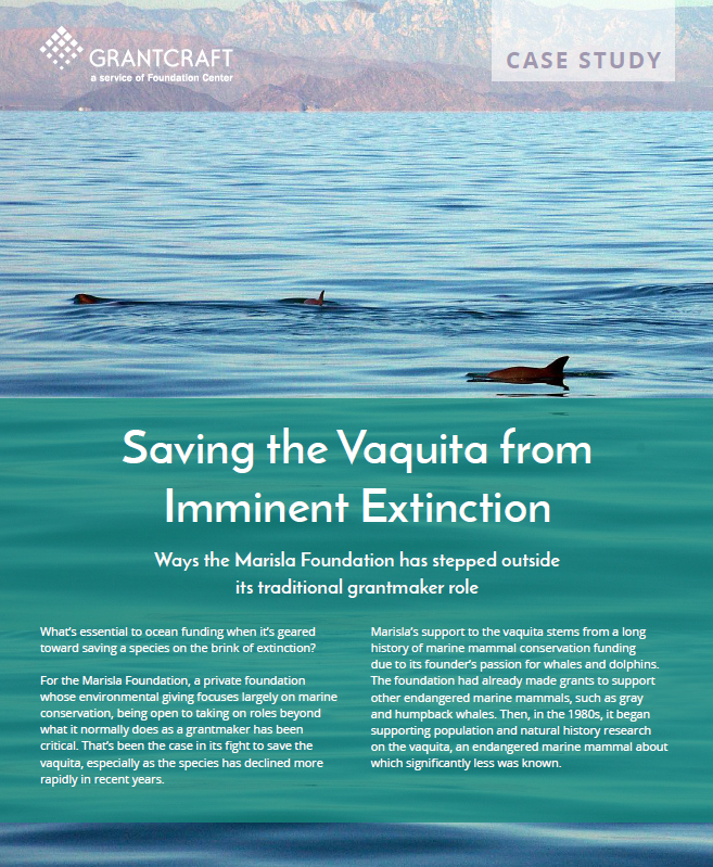 Saving the Vaquita from Imminent Extinction