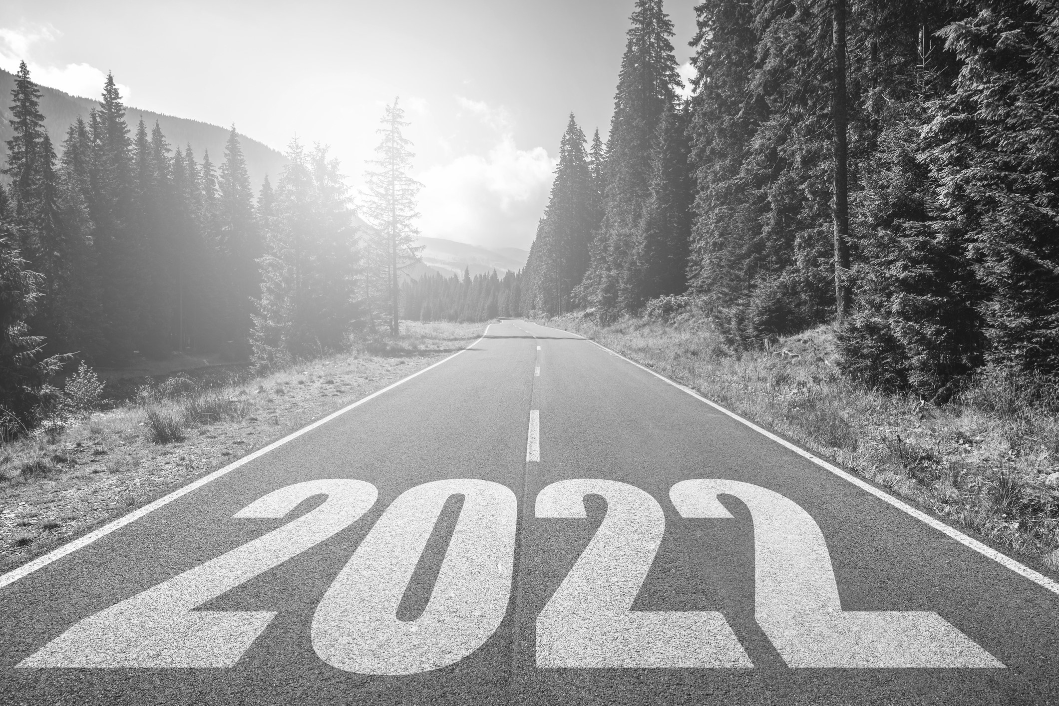 Philanthropy: Licensed to Risk Plus What’s New in 2022